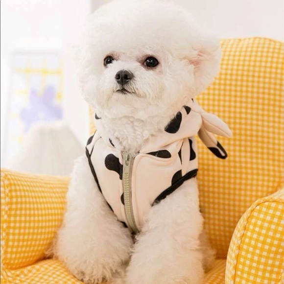 SHEIN Other - HP 🎉 Cow Pattern Pet Jacket SIZE L